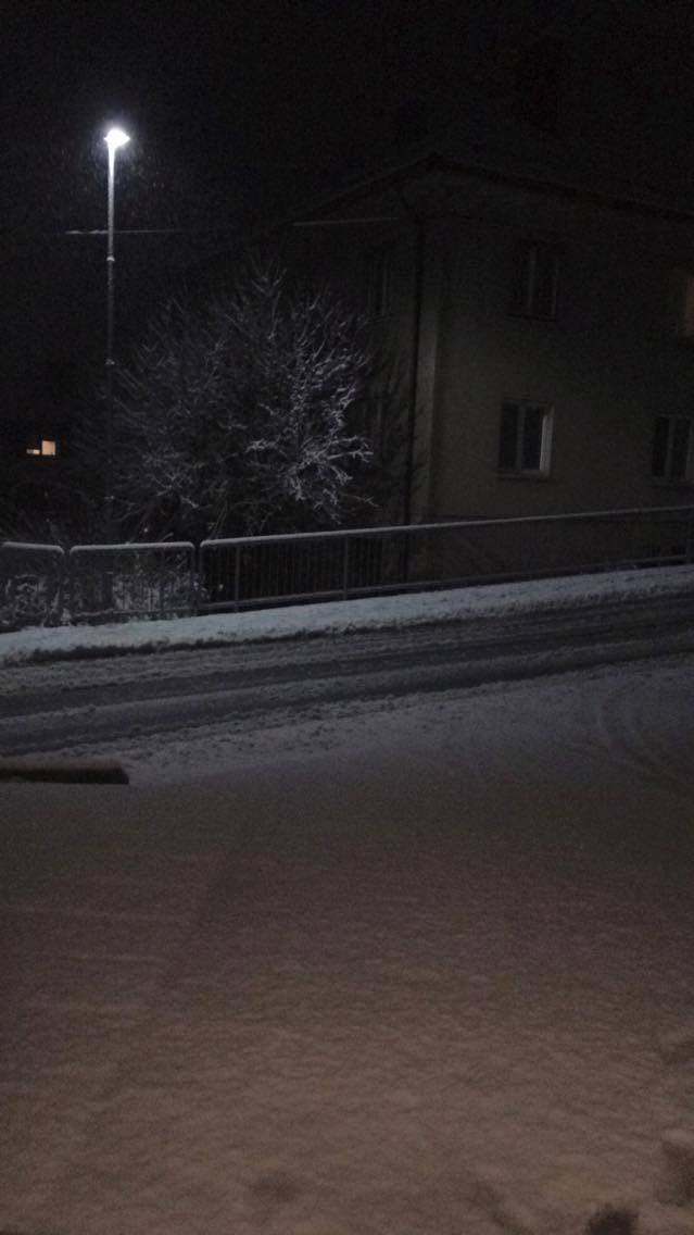 Foto: Boštjan Zrimšek